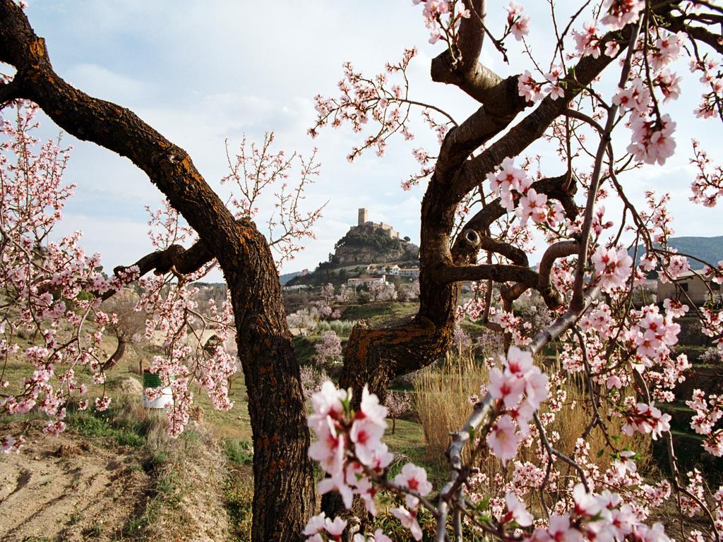ביאר Casa Rural Sant Antoni מראה חיצוני תמונה